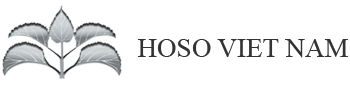 Logo HOSO Việt Nam